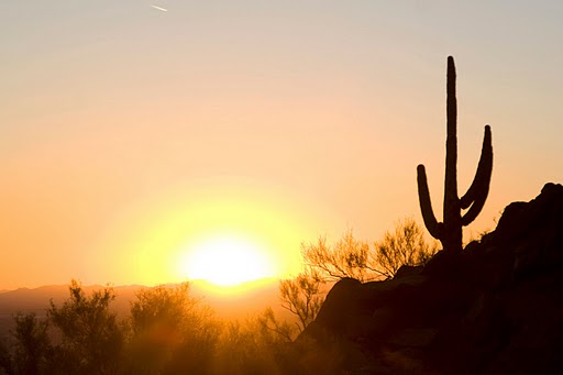 Avatar for VALLEY OF THE SUN ROOFING
